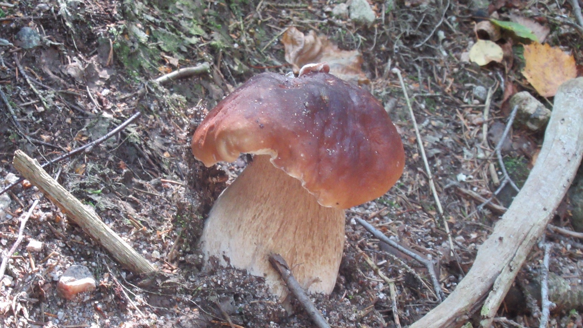 Course image